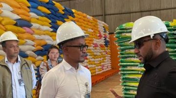 DPR RI apresiasi peran Bulog jaga stabilitas pangan Papua Barat Daya